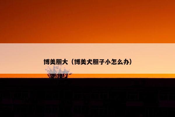 博美胆大（博美犬胆子小怎么办）