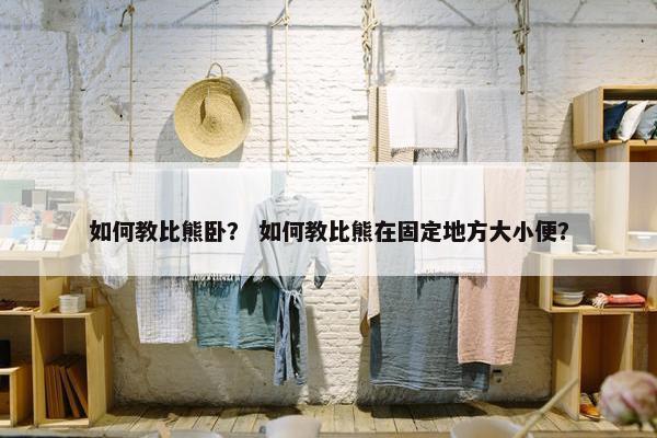 如何教比熊卧？ 如何教比熊在固定地方大小便？