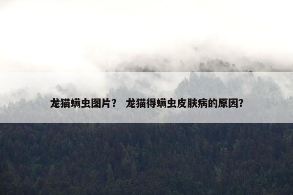 龙猫螨虫图片？ 龙猫得螨虫皮肤病的原因？