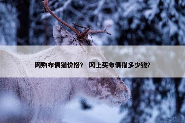 网购布偶猫价格？ 网上买布偶猫多少钱？