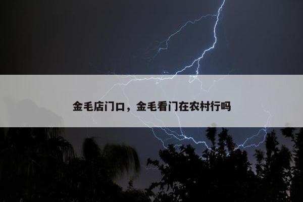 金毛店门口，金毛看门在农村行吗