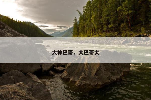 大神巴哥，大巴哥犬
