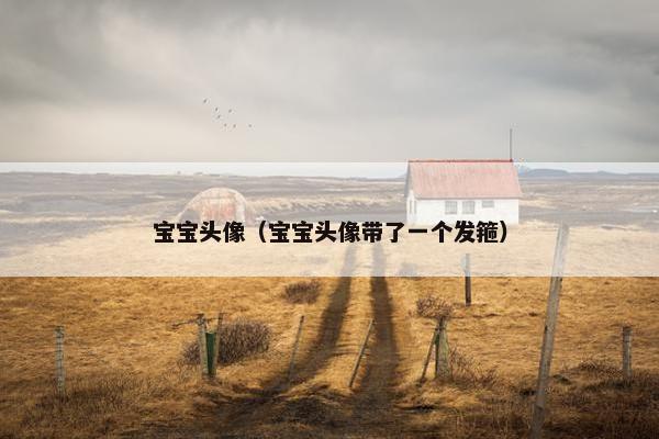 宝宝头像（宝宝头像带了一个发箍）