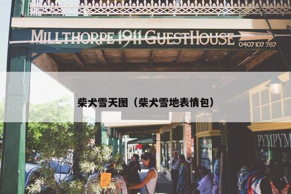 柴犬雪天图（柴犬雪地表情包）
