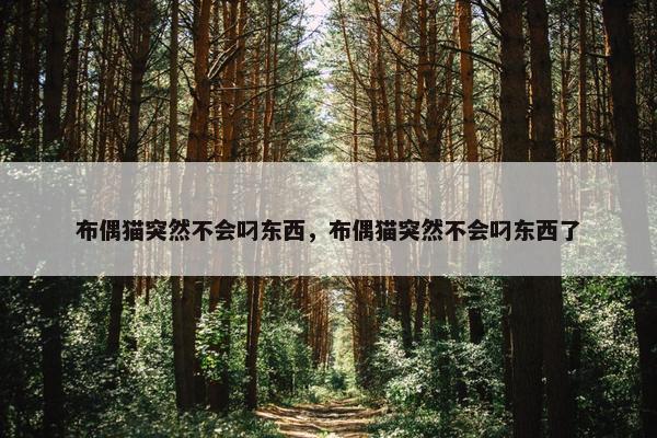 布偶猫突然不会叼东西，布偶猫突然不会叼东西了