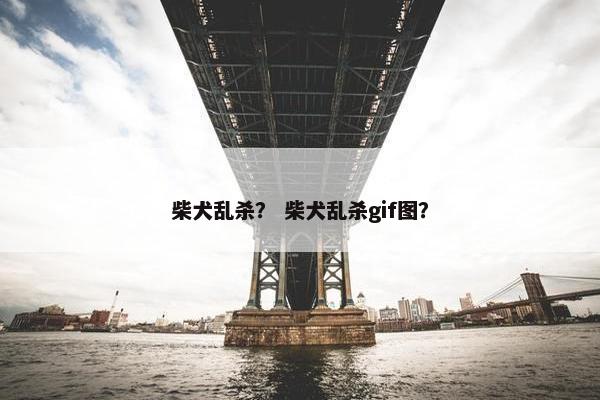 柴犬乱杀？ 柴犬乱杀gif图？