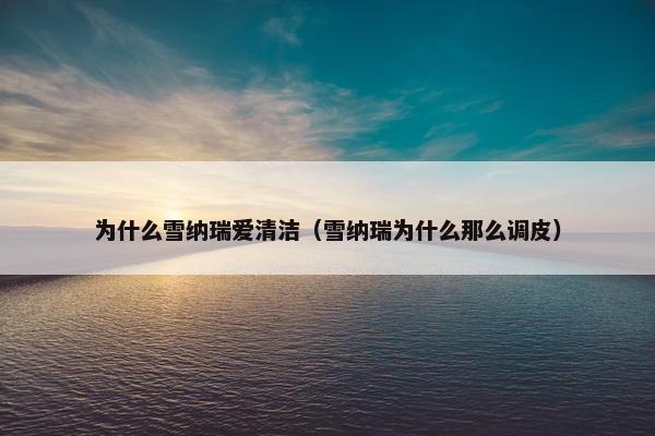 为什么雪纳瑞爱清洁（雪纳瑞为什么那么调皮）