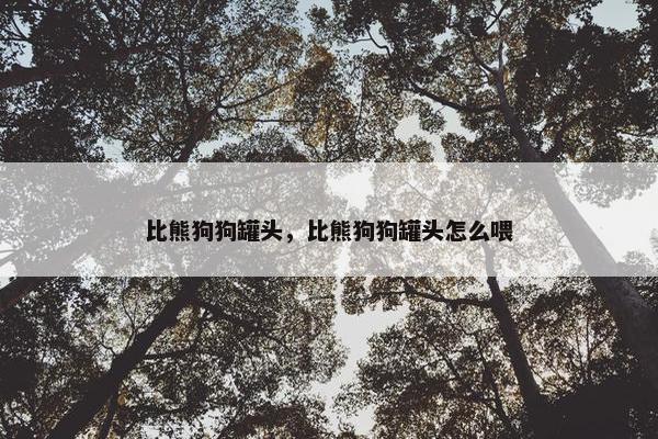 比熊狗狗罐头，比熊狗狗罐头怎么喂