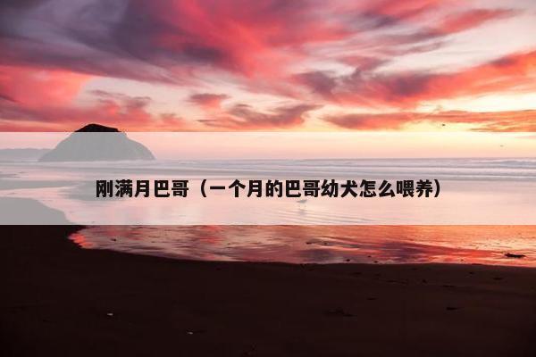 刚满月巴哥（一个月的巴哥幼犬怎么喂养）