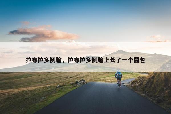 拉布拉多侧脸，拉布拉多侧脸上长了一个圆包