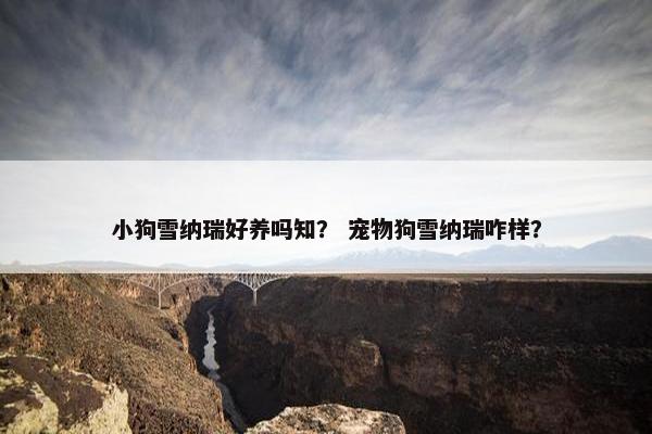 小狗雪纳瑞好养吗知？ 宠物狗雪纳瑞咋样？