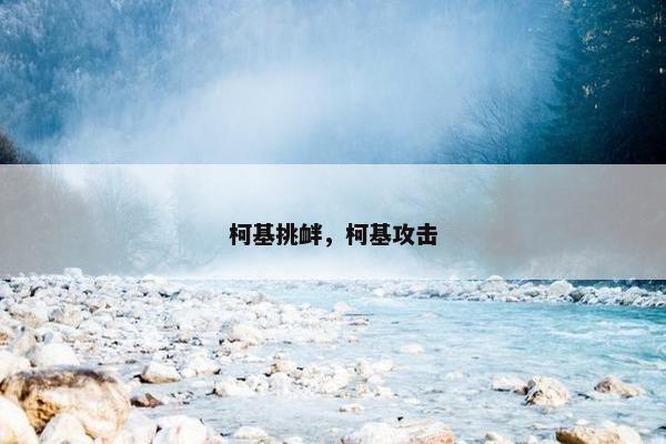 柯基挑衅，柯基攻击