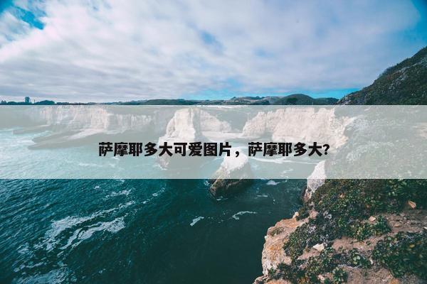 萨摩耶多大可爱图片，萨摩耶多大?