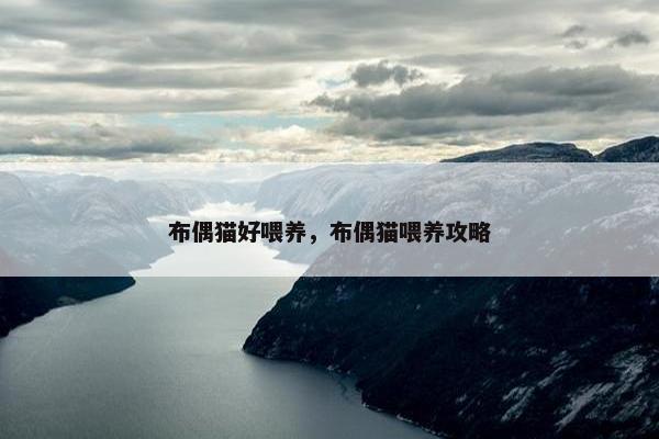 布偶猫好喂养，布偶猫喂养攻略