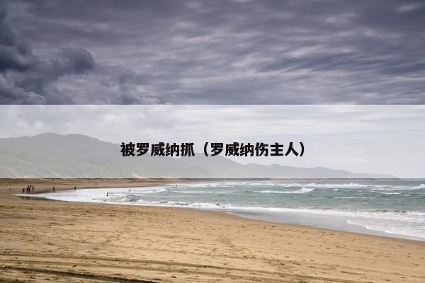 被罗威纳抓（罗威纳伤主人）