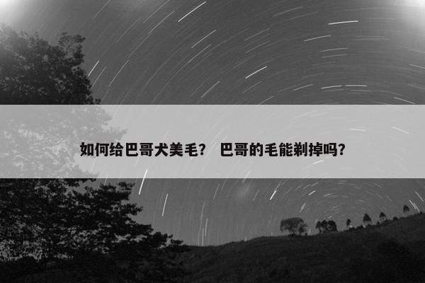 如何给巴哥犬美毛？ 巴哥的毛能剃掉吗？