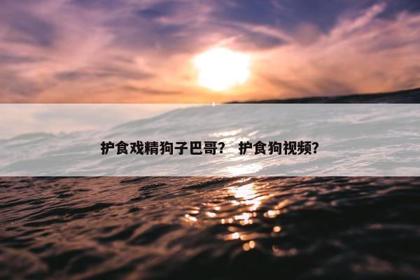 护食戏精狗子巴哥？ 护食狗视频？