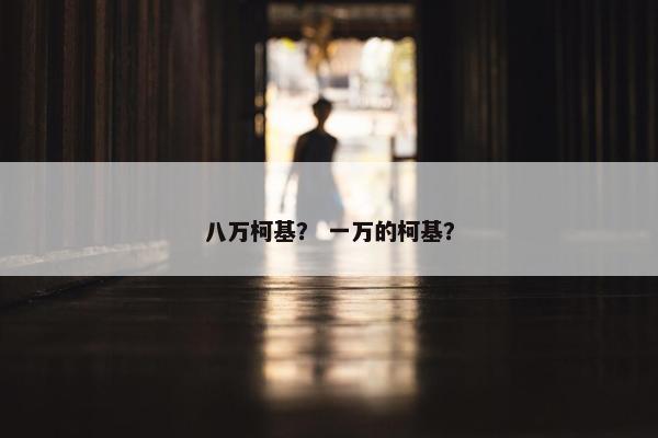 八万柯基？ 一万的柯基？