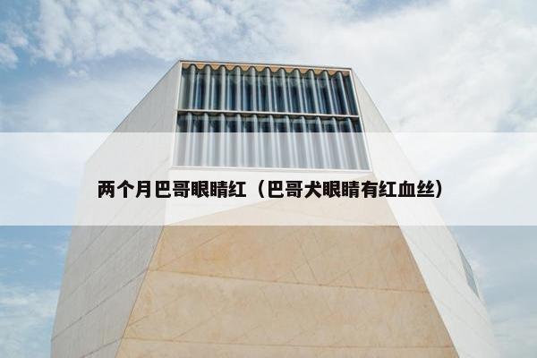两个月巴哥眼睛红（巴哥犬眼睛有红血丝）