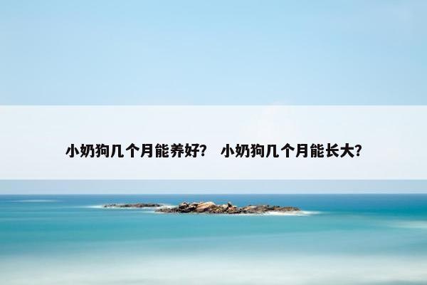 小奶狗几个月能养好？ 小奶狗几个月能长大？