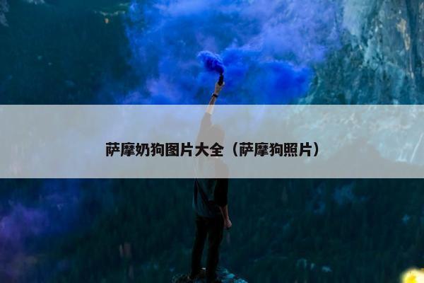 萨摩奶狗图片大全（萨摩狗照片）