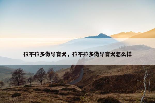 拉不拉多做导盲犬，拉不拉多做导盲犬怎么样