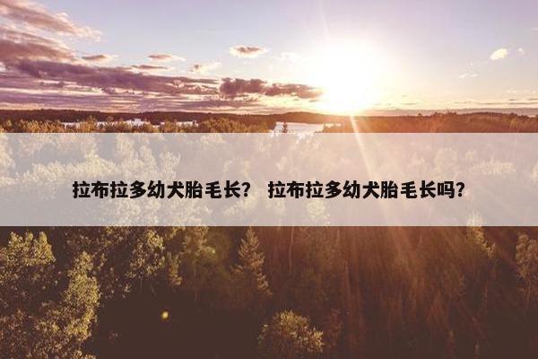 拉布拉多幼犬胎毛长？ 拉布拉多幼犬胎毛长吗？