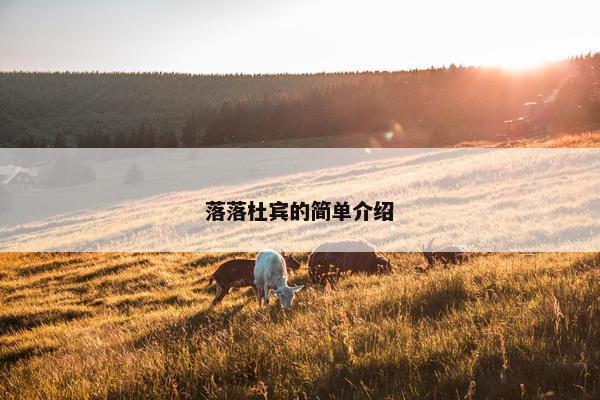 落落杜宾的简单介绍