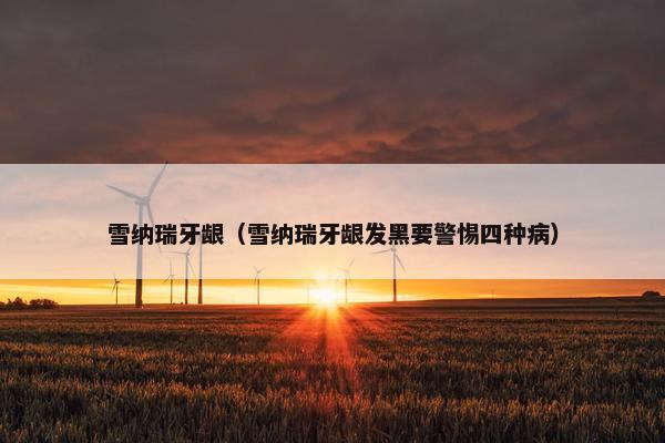 雪纳瑞牙龈（雪纳瑞牙龈发黑要警惕四种病）