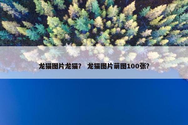 龙猫图片龙猫？ 龙猫图片萌图100张？