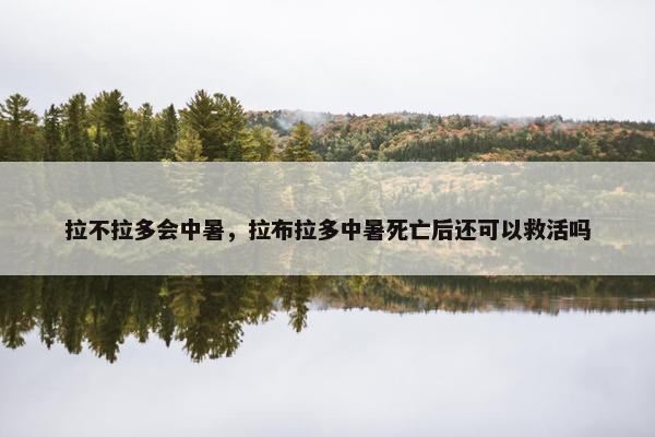 拉不拉多会中暑，拉布拉多中暑死亡后还可以救活吗