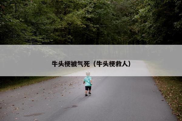 牛头梗被气死（牛头梗救人）