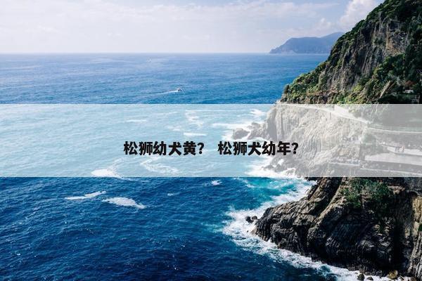 松狮幼犬黄？ 松狮犬幼年？