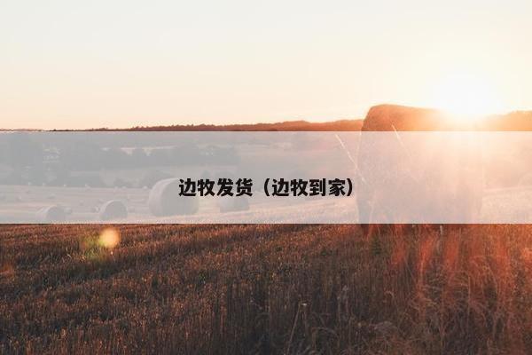 边牧发货（边牧到家）