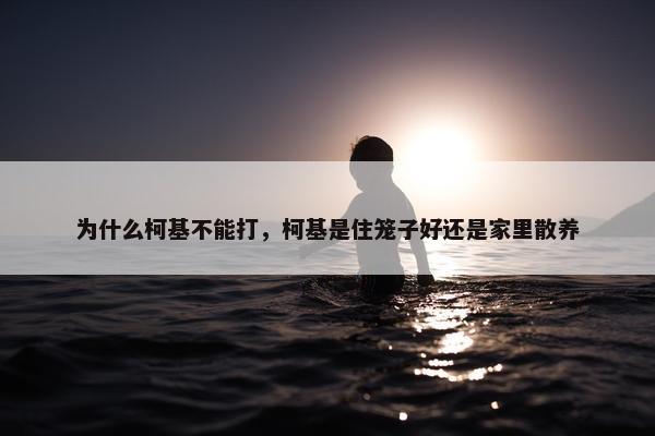 为什么柯基不能打，柯基是住笼子好还是家里散养