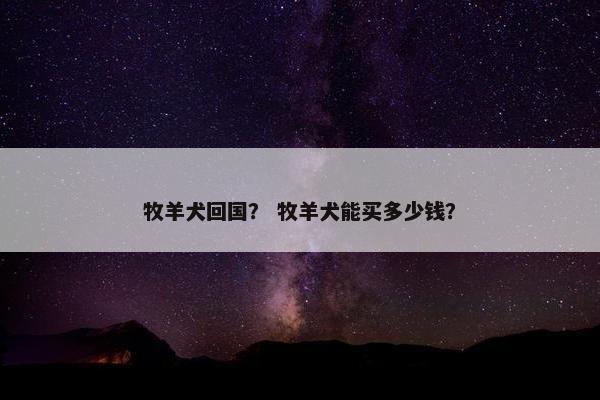 牧羊犬回国？ 牧羊犬能买多少钱？