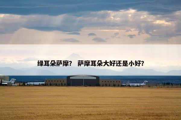 绿耳朵萨摩？ 萨摩耳朵大好还是小好？