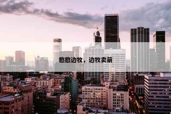 憨憨边牧，边牧卖萌