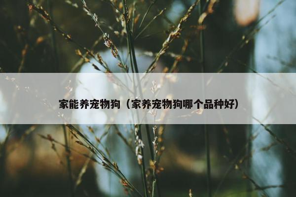 家能养宠物狗（家养宠物狗哪个品种好）
