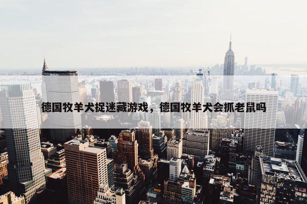 德国牧羊犬捉迷藏游戏，德国牧羊犬会抓老鼠吗
