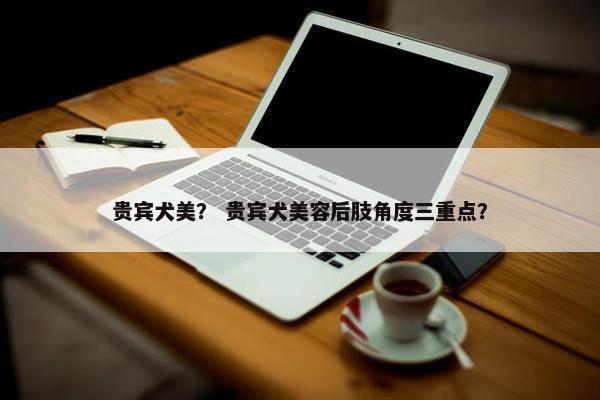 贵宾犬美？ 贵宾犬美容后肢角度三重点？