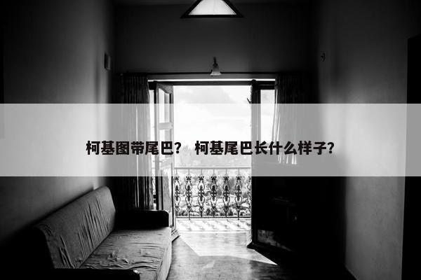 柯基图带尾巴？ 柯基尾巴长什么样子？