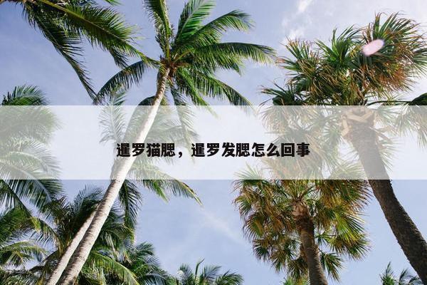 暹罗猫腮，暹罗发腮怎么回事