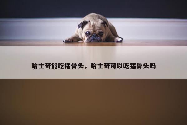 哈士奇能吃猪骨头，哈士奇可以吃猪骨头吗