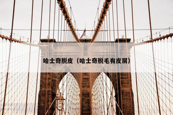 哈士奇脱皮（哈士奇脱毛有皮屑）