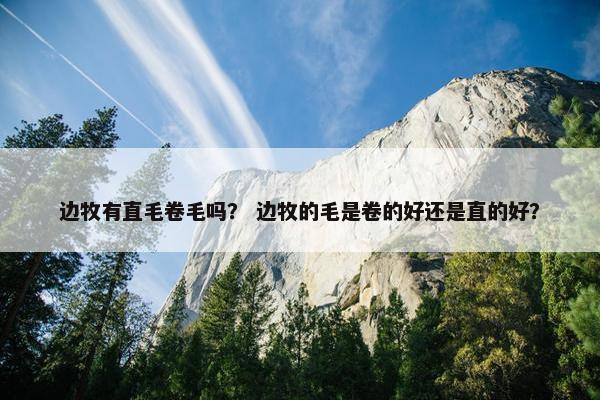 边牧有直毛卷毛吗？ 边牧的毛是卷的好还是直的好？