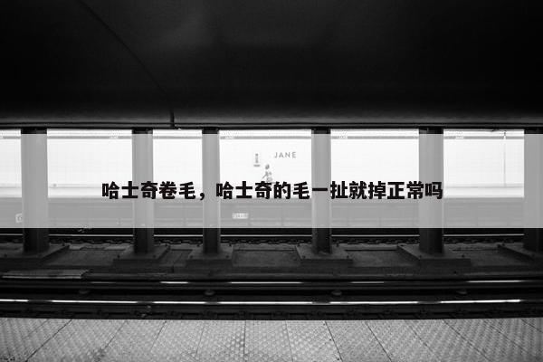 哈士奇卷毛，哈士奇的毛一扯就掉正常吗