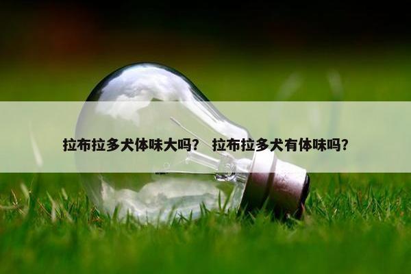 拉布拉多犬体味大吗？ 拉布拉多犬有体味吗？