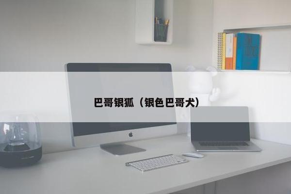 巴哥银狐（银色巴哥犬）