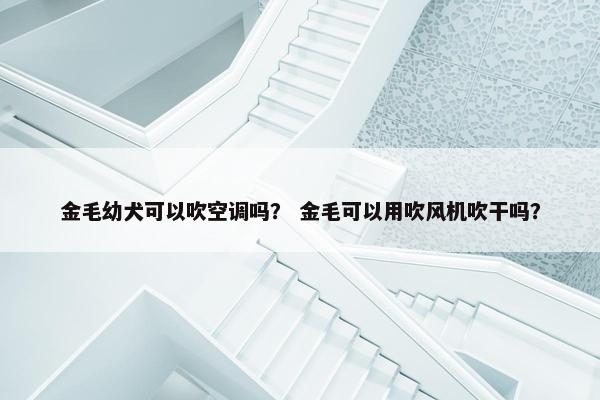 金毛幼犬可以吹空调吗？ 金毛可以用吹风机吹干吗？